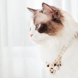 Puppy 🐶, Cat 🐈 Luxury Necklace